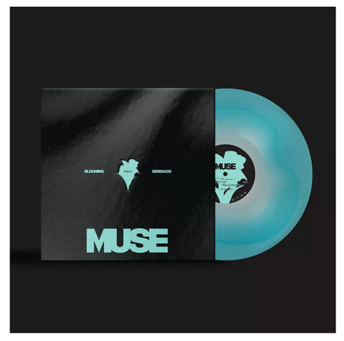 Jimin muse vinyl album - 12",
