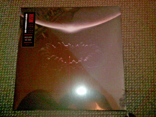Muse the wow signal - wow!,